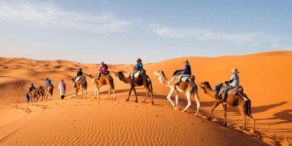 a guided tour through the heart of the desert