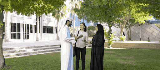 University of Doha for Science and Technology (UDST)