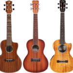 best ukulele for beginners