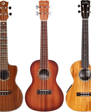 best ukulele for beginners